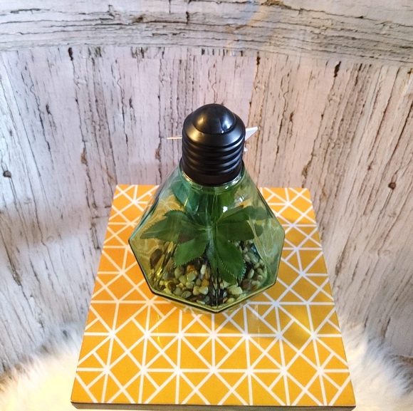 Homedeco Light Up Terrarium - Picture 7 of 7